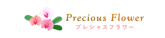 胡蝶蘭通販専門店「プレシャスフラワー」/当選祝い・陣中見舞いマナー